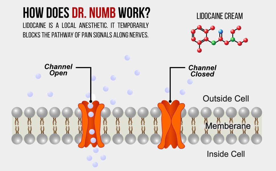 Dr Numb 5% Lidocaine Numbing Cream | Topical Numbing Cream for Laser, Microneedling + Tattoo Removal