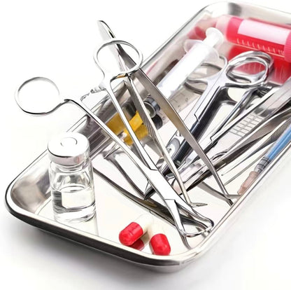 Implement Tray Rectangular Shape, Stainless Steel Canada