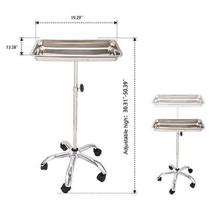 Stainless Steel Mobile Tray Cart / Trolley with Removable Tray for Medical Aesthetics Canada