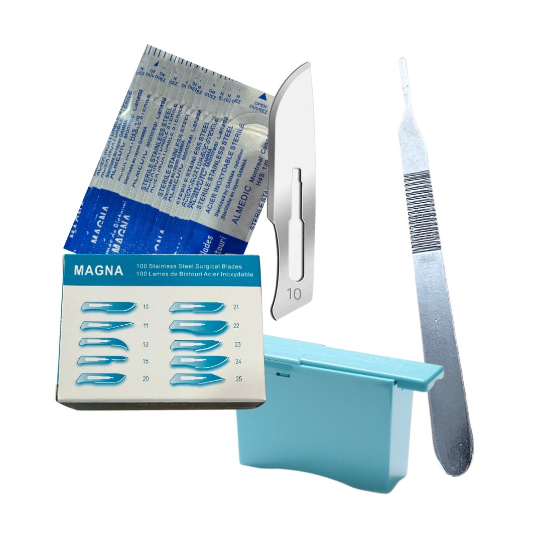 THE BASICS #10 Premium Dermaplaning Kit - Box of 100 ...