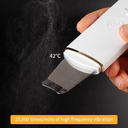 Ultrasonic Facial Cleansing Professional Beauty Tool